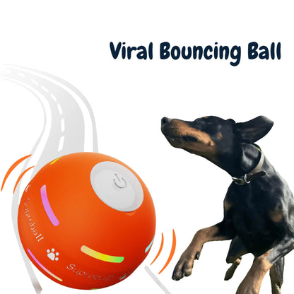 🎄Christmas Flash Sale-50% OFF-Viral Bouncing Ball